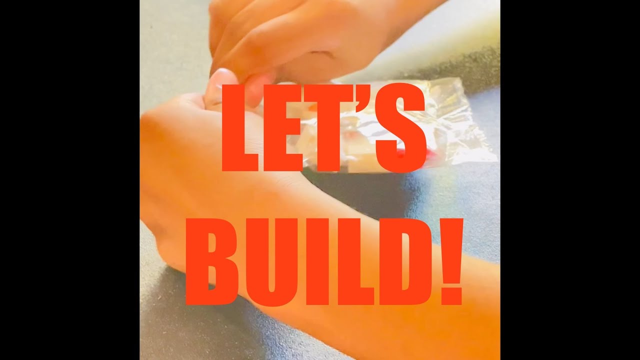 Chicken Brick Build 🐔 | Creative Speed Build by JayLeah | Family Art Series 