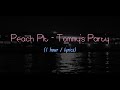 Peach Pit - Tommy's Party 1 hour (1시간) | Lyrics (가사, 해석)