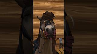 Something on my face? 🐴