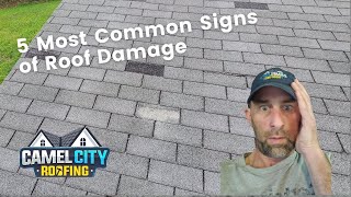 The 5 Most Common Signs of Roof Damage