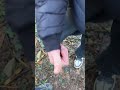 Erstes YouTube Video 