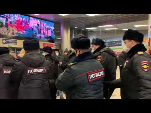 Срочно! Полиция задержала Любовь Соболь во Внуково