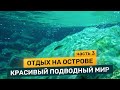 Отдых на острове часть 3 / Красивый подводный мир / Олень возле дороги / Район Нанаймо цена на дом