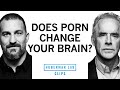 The Truth About Pornography Dr Jordan Peterson Dr Andrew Huberman The Truth About Pornography Dr Jordan Peterson Dr Andrew Huberman
