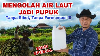 100x Lebih bernutrisi !! Pupuk Dari Air Laut