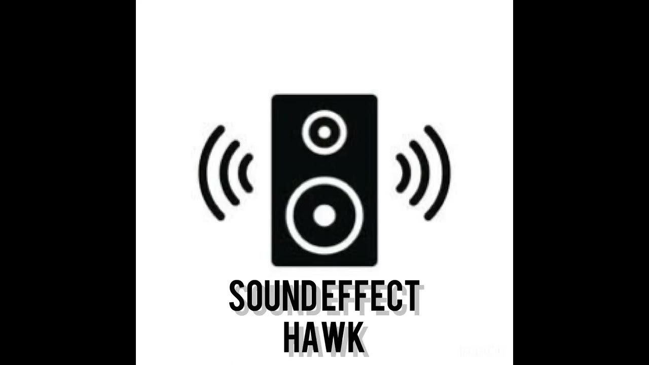 Hawk sound effect YouTube