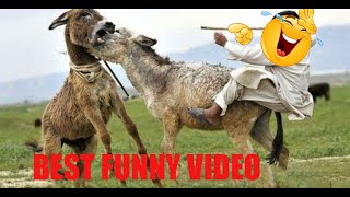 Try Not To Laugh or Grin While Watching Funny Clean Vines #1 #2022