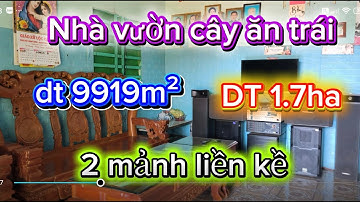 Nhà vườn cây ăn trái đủ loại nguồn thu mạnh 2 mảnh liền kề cách chợ trường học 5km