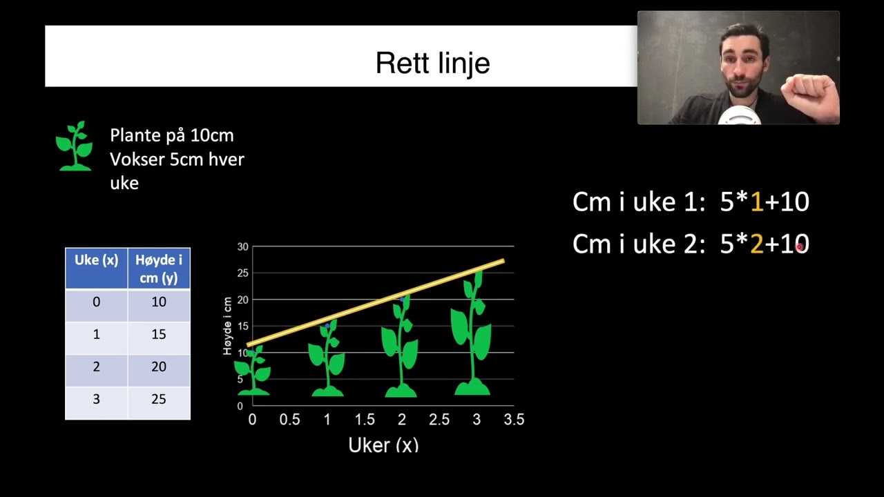 Rett linje, gratis demo