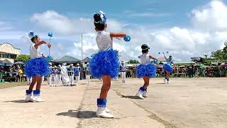 Mapid Elementary School Lagonoy North Peñafrancia Regatta Festival 2025