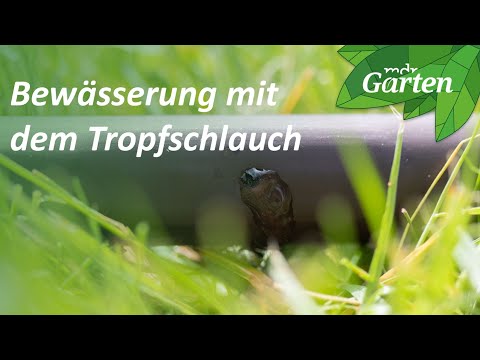 Video: Gartenarbeit mit Tropfschläuchen - Nutzen Sie die Vorteile der Tropfschläuche