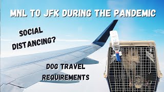 traveling from MNL to NY in the pandemic with my dog (DOG TRAVEL REQUIREMENTS)