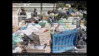 contaminacion del medio ambiente