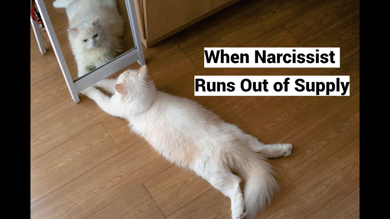 When Narcissist Runs Out of Supply (Selfsupply Compilation) YouTube