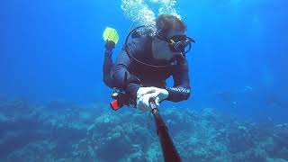 Turks and Caicos Scuba Diving with Beaches Resort