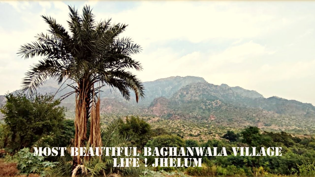 Most Beautiful Baghanwala Village life ! Jhelum