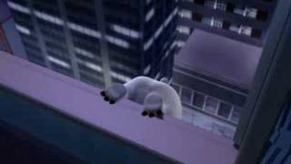 Bernard - Sleep walking