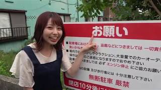 寺田楽器　ダブルホールギター　WSF30 寺田楽器 ダブルホールギター WSF30 - メルカリ