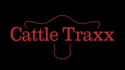 The Future of Cattle Tracking