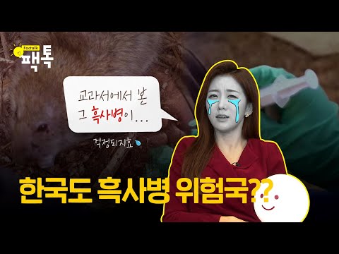 [팩톡] 중국 흑사병에 대한 오해와 진실 5가지