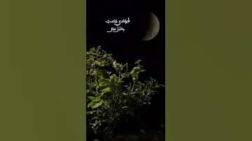 فؤادي متعب والليل طال 