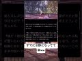 逆に笑えてくるww #夫婦 #あるある #バズれ #爆笑 #ショート動画