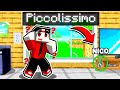 ENTRO NEL PASSAGGIO SEGRETO PIÙ *PICCOLO* DI MINECRAFT!