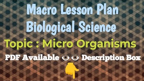 Biological Science/Macro Lesson Plan/Topic-Micro organism/Class-8th/B.Ed./Pdf available