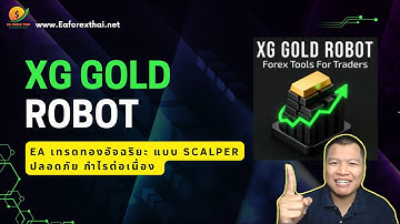 รีวิว XG Gold Robot EA เทรดทองอัจฉริยะ แบบ Scalper ปลอดภัย กำไรต่อเนื่อง | Eaforexthai