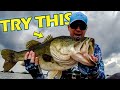 HUGE TROPHY FISH from MUDDY FLAT at HEADWATERS LAKE- TRY THIS (SURPRISING)