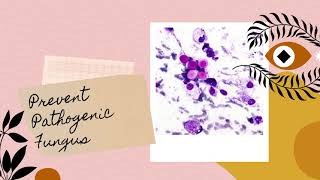 Do Houseplants Like Coffee Grounds? Benefits of Using Coffee Grounds in Houseplants! (2021)