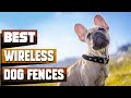 Best Wireless Dog Fence In 2022 - Top 10 Wireless Dog Fences Review