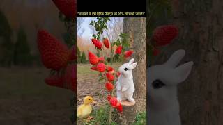 Animals unknown facts #animalsfact