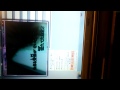 橘いずみ 失格 カバー