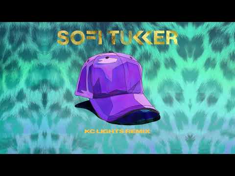 SOFI TUKKER - Purple Hat (KC Lights Remix) [Visualizer] [Ultra Music]