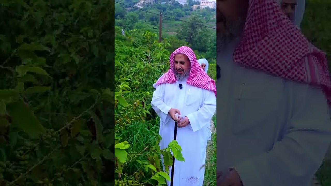 الشيخ محمد بن رمزان الهاجري من جبال فيفا في جازان السعودية حفظها الله