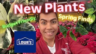 Lowe's is Full for Spring 2026 Big Box Store Plant Shopping NEW Plant Finds Prices Have Dropped!