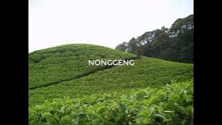 Lagu Sunda Doel Sumbang Nonggeng