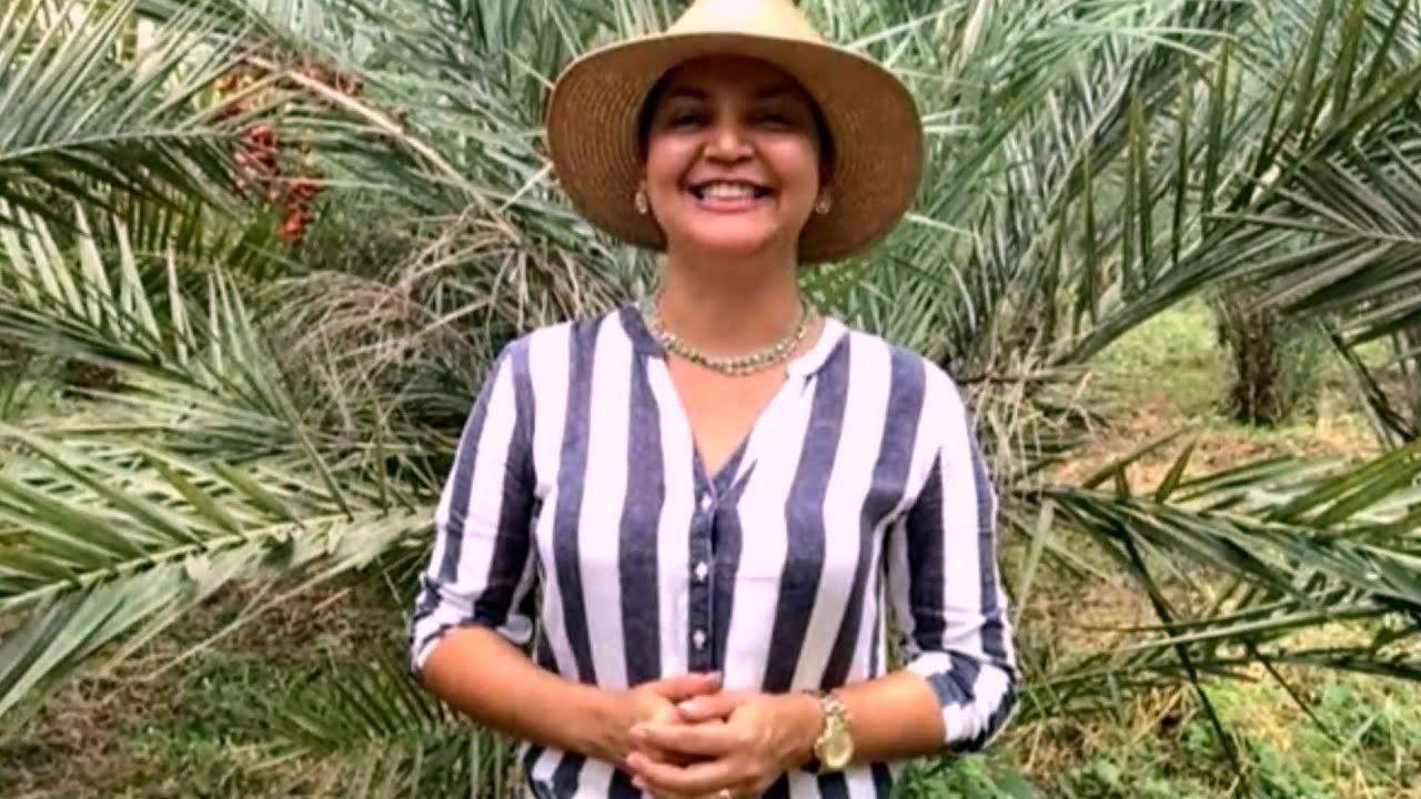 Produtora cultiva tâmaras no Mato Grosso e avalia resultados iniciais