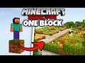 I survived 100 days in one block skyblock in minecraft hardcore