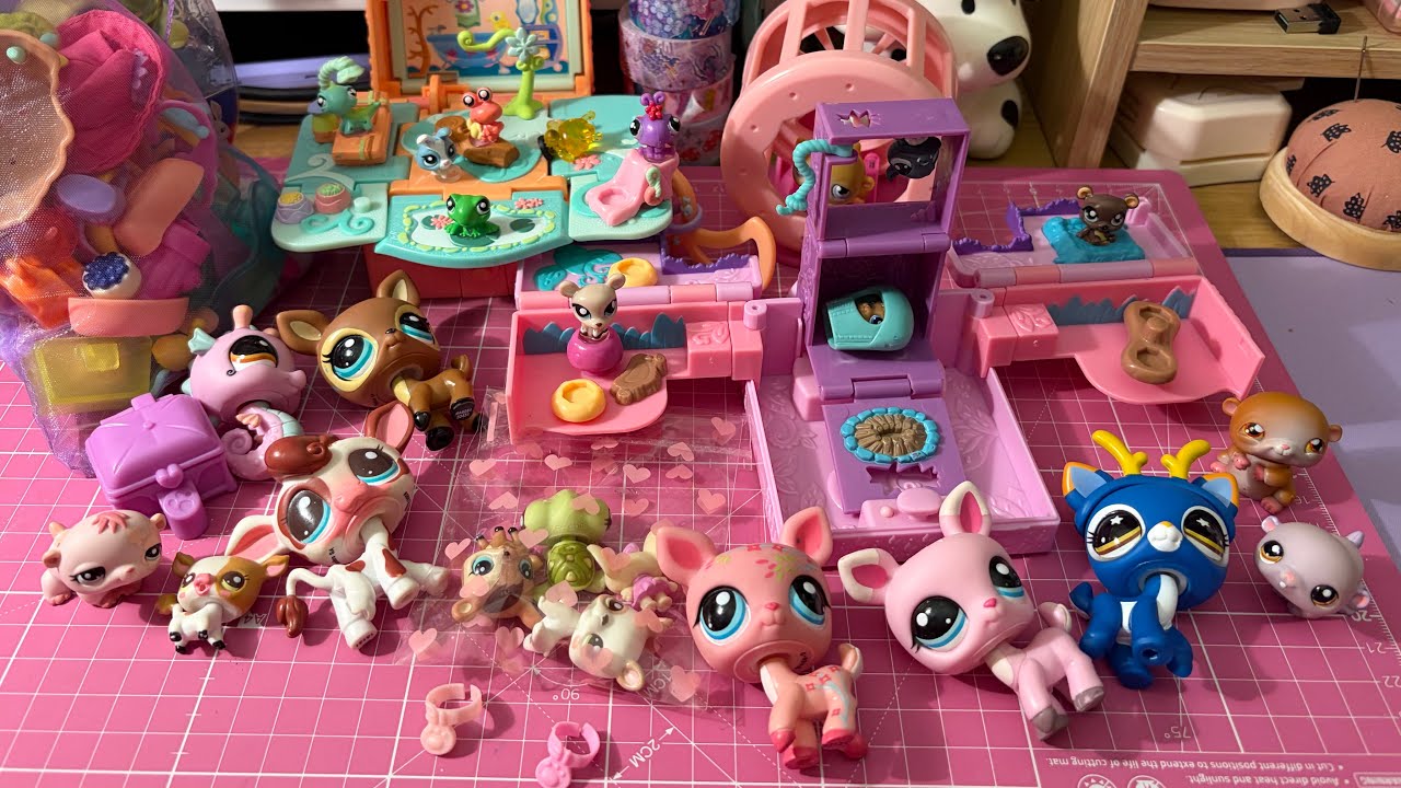 Favorite littlest pet shop finds last year 