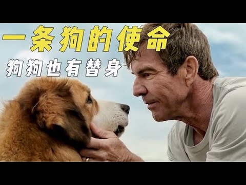 《一条狗的使命》幕后，导演亲自上阵，狗狗也有替身