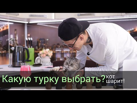 Какую турку выбрать? Кот шарит!