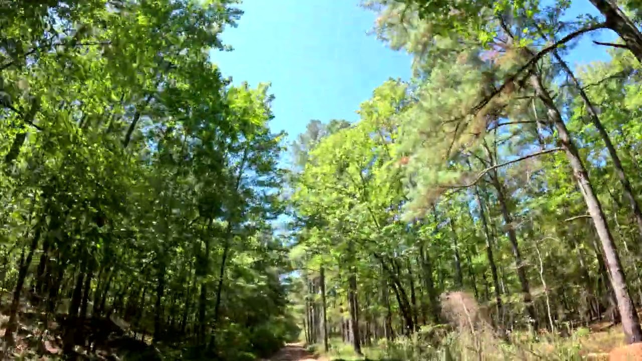 Thrilling UTV Ride Through Broken Bow's Stunning Trails | GoPro Adventure!