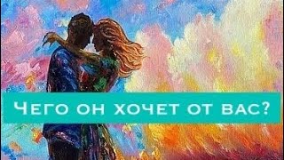 Самo-что дерево трясти!В срок яблоко спадает спелое. За всё, за всё меня прости..❤️🌷