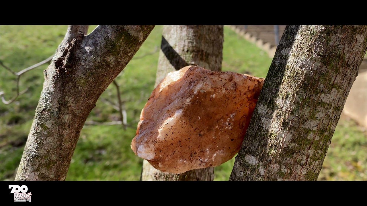 4k Test Run(Slow Mo) Hand Held Test