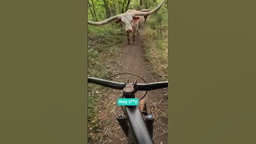 Unexpected Longhorn Appears On Mountain Bike Trail! 😲😂