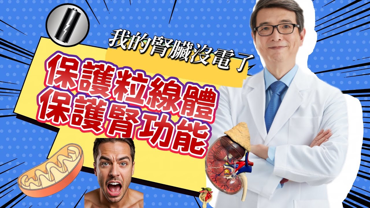 我的腎臟沒電了~生活4方法保護粒線體，保護你的腎功能