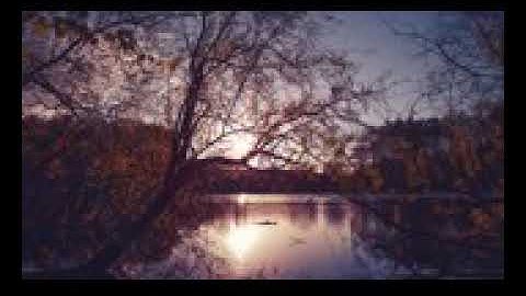 تلاوة طيبة  تنسيك هموم الدنيا