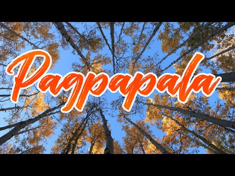 PAGPAPALA